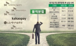 [분할상장의 역설②] 그룹내 차별 우려 vs 대규모 투자 위해...SK·카카오 등 물적분할 딜레마