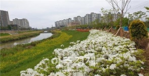 군산시, 쾌적하고 안전한 녹색 환경도시 조성에 박차