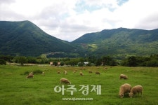 진도 서부해안로를 따라 세방낙조길까지 45km 드라이브 코스로 OK