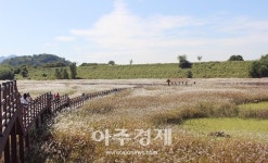 대구 달서구, 가을에 ‘대명유수지&달성습지’는 가봐야 해!