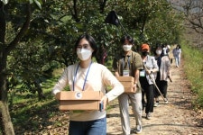 청도군, 과실전문생산단지 기반조성사업 2개지구 선정