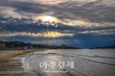 신안 임자도 대광해수욕장에 치유의 숲 조성