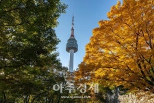 [광화문갤러리] 단풍 물들어가는 남산