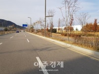 예산군, 내포신도시 가로수 보충 식재로 아름다운 경관 조성