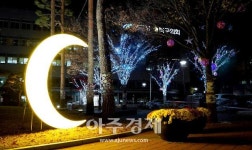 대구 북구, 새로운 희망을 꿈꾸는 소망의 빛 거리를 걸으세요