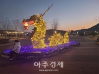 [양산소식] 양산시, '황산공원 겨울밤 빛으로 물들이다' 外