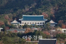 靑, 신포괄수가제 항암약품 급여폐지 반대 청원에…본인부담금 5% 유지