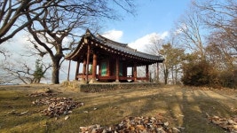 ⓻꽃이 진다고 슬퍼마라-송순 면앙정