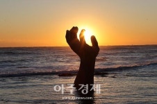 포항시, 호미곶 일출 케이블방송과 유튜브 채널 통해 생중계