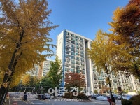 강남1호 신통기획 대치 미도 재건축 첫걸음