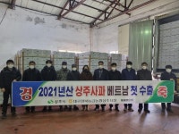 상주사과 올해 베트남으로 첫 수출… 대구경북능금농협 상주지점