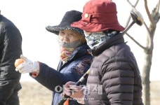 여든다섯 할머니의 파크골프 사랑...인생이 즐겁다