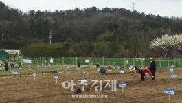대구 수성구, 일본 관광객 대상 랜선 설날 즐기기 진행
