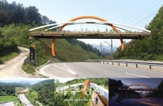 태백시, 연화산 ~ 대조봉 생태탐방로 조성사업