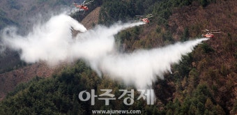 경북 영덕 산불, 산불진화헬기 40대 총투입...주불 진화 완료
