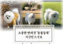 [김해소식]김해시, 소중한 반려견 동물등록 지원받으세요 外