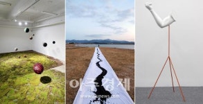 대구예술발전소, 첫 기획전시 Beyond the Limits 만난다