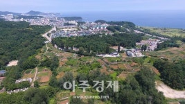 동해시, 북평중학교~봉오마을 도로개설 준비