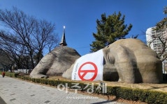 대구 달서구, 투표 독려 퍼포먼스 거대원시인도 투표했다