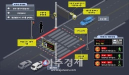 대구 동구, 교통 안전사고 감소 스마트횡단보도 설치