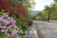 금산군, 올해 생활권 녹지기반 확충 63억원 투입