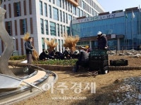 안산시 단원구, 단원보건소 주변 초화류 2000본 식재