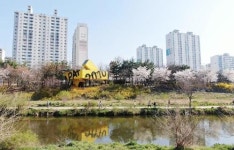 안양시, 학의천변 산책로 보행자 중심 한 단계 진화