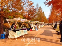 안성시, 안성맞춤랜드 가든파티 우천으로 27일로 연기 결정