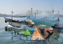 [창원소식]창원특례시, 진해공공임대형 지식산업센터 착공 外