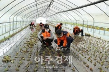 광명소방, 광명의용소방대 농촌 일손돕기에 나서