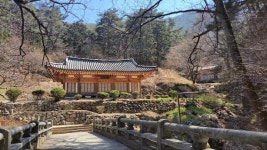 [원철스님의 가로세로] 경주 용담정(龍潭亭)에서 만난 연못과 용