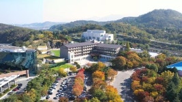 대구 외국인 전용 카지노 골든크라운, 올해도 나홀로 호실적 내나