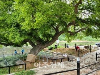 함평군 백곡마을 청정전남 으뜸마을 만들기 본격 시동