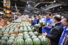 [지방선거 포토] 가락시장 찾은 송영길 후보