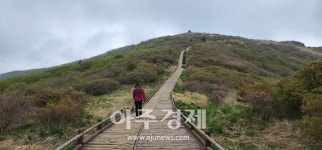 [기수정의 여행 in] 훼손의 아픔 딛고 성숙해졌네…지리산 노고단 탐방