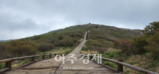 [기수정의 여행 in] 훼손의 아픔 딛고 성숙해졌네…지리산 노고단 탐방