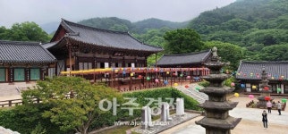 [기수정의 여행 in] 훼손의 아픔 딛고 성숙해졌네…지리산 노고단 탐방
