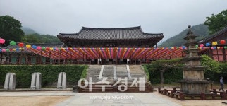[기수정의 여행 in] 훼손의 아픔 딛고 성숙해졌네…지리산 노고단 탐방