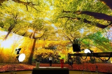 [르포] 360도 LED벽서 시공간 초월…K콘텐츠 제작 첨병 CJ ENM 스튜디오 센터 가보니