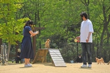 [주말, 여행] 목줄 풀고 달릴 준비 완료…인천대공원 반려견 놀이터로 가자