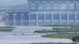 연천 임진강 부근서 여성 시신 발견…北 주민 추정