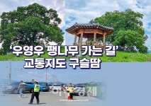 [창원소식] 창원시, 우영우 팽나무 가는 길 교통지도 구슬땀 外