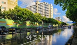 대구 달서구, 열섬현상 완화, 미세먼지 저감… 클린로드 조성