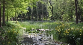대구시, 코로나19 영향 취업 애로 장애인 보듬어