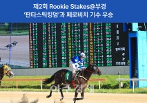 마사회 부경, 제2회 Rookie Stakes@부경 우승마는?