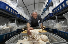장수군, 금강의 발원지 뜬봉샘에 4단계 생태관광지 조성사업 추진