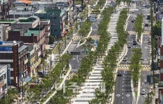 쾌적하고 아름다운 전주거리…전주시, 가로수 보식작업 추진