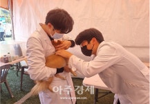 강원도동물위생시험소, 반려동물 인수공통전염병 무료 검사 성료