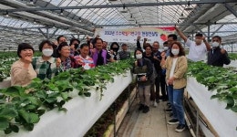 광주시, 고품질 수수락 딸기재배 기술 현장 컨설팅 추진