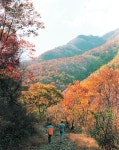 가볍게 당일여행 가요 가을에 떠나기 좋은 충남 여행지